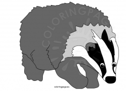 Cartoon Badger Clipart | Coloring Page