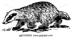 Vector Art - European badger. Clipart Drawing gg61334253 - GoGraph