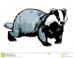 badger drawing - Google Search | Survivor Ideas | Pinterest ...