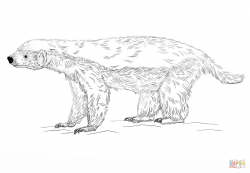 Honey Badger coloring page | Free Printable Coloring Pages