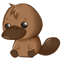 http://quoteko.com/kawaii-platypus.html | Cute Platypus found in ...