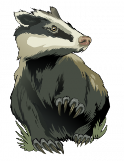 Image - Free-badger-clip-art-qvbefi-clipart.png | Animal Jam Clans ...