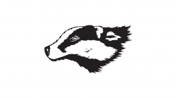 Free Badger Cliparts, Download Free Clip Art, Free Clip Art on ...