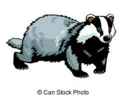 Badger Vector Clip Art Illustrations. 494,265 Badger clipart ...