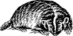 Badger clip art Free vector in Open office drawing svg ...