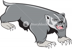 Illustration of a badger pouncing viewed from front set on isolated ...