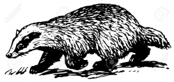 Badger Clipart Black And White - Letters