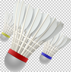 Download for free 10 PNG Badminton clipart court Images With ...