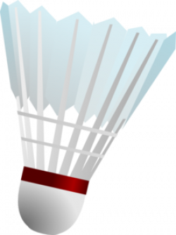 Badminton PNG Picture | Web Icons PNG