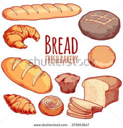 Set of different bakery. Bread, loaf, bun, muffin, croissant, bagel ...
