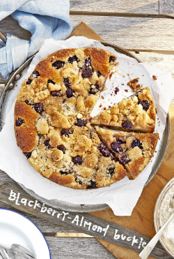41 Easy Blackberry Recipes - Best Desserts & Recipes with Blackberries