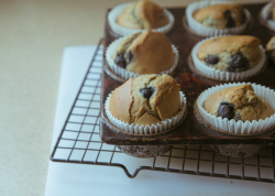 how to make a gluten-free muffin mix