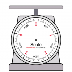 Types of Weighing Scales | Industrial Scale Company