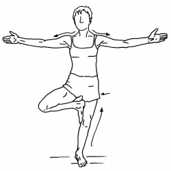 Exercises | Physiotherapy Posture and Fitness Clinic