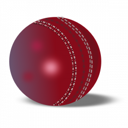 Cricket Ball Transparent PNG Pictures - Free Icons and PNG Backgrounds