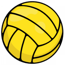 Water Polo Ball Printed Full Color Sticker