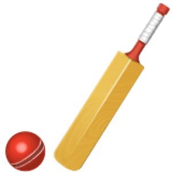 11 best Cricket bats & balls images on Pinterest | Cricket bat, Bats ...