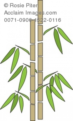 Clip Art Illustration Of A Stand Of Bamboo
