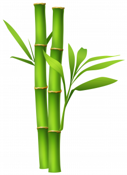 Bamboo PNG Image | Gallery Yopriceville - High-Quality Images and ...