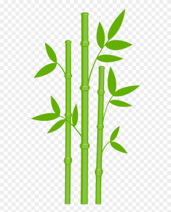 Bamboo Clipart - Png Download (#428793) - PinClipart