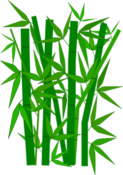 Cartoon Of Bamboo Leaves Clipart