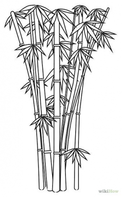 draw bamboo cartoon - Buscar con Google | bambo | Pinterest ...
