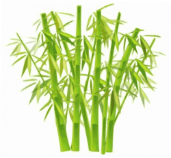 Free Bamboo Cliparts Free, Download Free Clip Art, Free Clip Art on ...