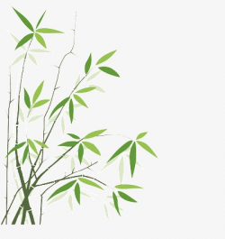 Small Bamboo, Green Leaves, Branch, Shadow PNG Image and Clipart for ...