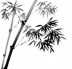 Bamboo Tree Drawing at GetDrawings.com | Free for personal use ...