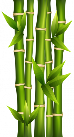 Bamboo PNG Clipart Image | Abstract | Pinterest | Clipart images ...