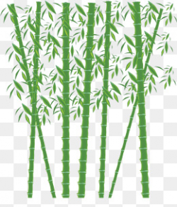 Green Bamboo Forest PNG Images | Vectors and PSD Files | Free ...
