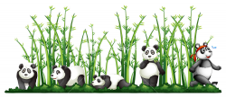 Pandas in the bamboo forest illustration Royalty-Free Stock Image ...