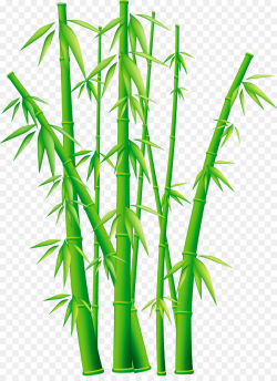 Bamboo Clip art - bamboo png download - 2250*3057 - Free Transparent ...