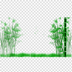 Bamboo Ink wash painting, bamboo transparent background PNG ...