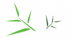 Bamboo Leaf PNG Free Download | PNG Mart