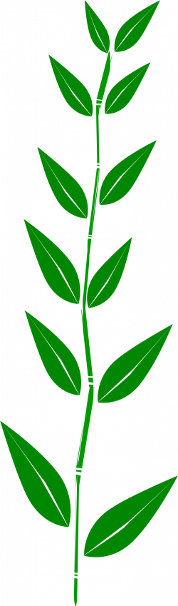 Clipart - Bamboo,leaf