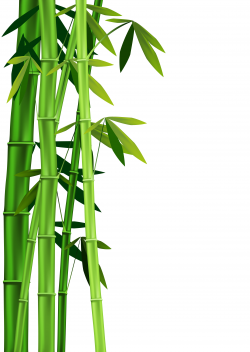 Bamboo Clipart Bamboo Leaves #2373699