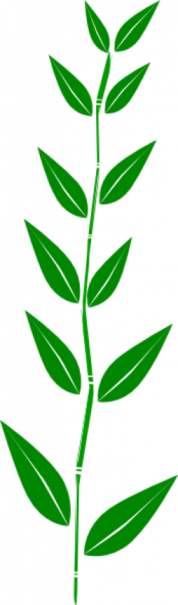 Bamboo Leaf Clip Art at Clker.com - vector clip art online, royalty ...
