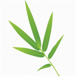 Bamboo Cartoon clipart - Leaf, Bamboo, Plant, transparent ...