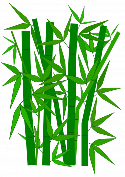 Bamboo Leaves Clipart