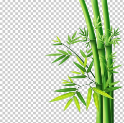 Bamboo PNG, Clipart, Bamboo, Bamboo 19 0 1, Bamboo Border ...