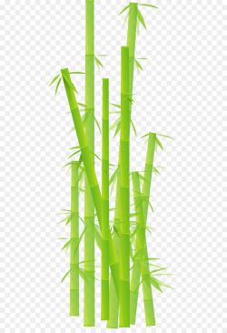 Bamboo Clip art - Bamboo Cliparts png download - 512*1303 - Free ...