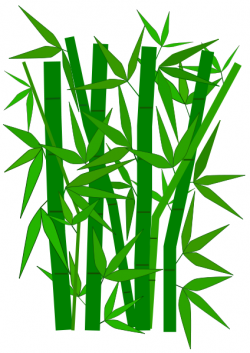 www.wpclipart.com/plants/trees/bamboo/bamboo.png