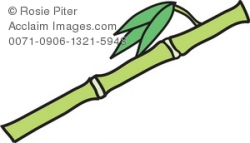 Clip Art Illustration Of A Bamboo Stem