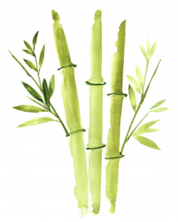 Bamboo Plant Paper Art Print, Bamboo Sticks Painting, Green Leaves ...