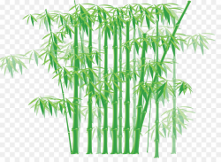 Bamboo Clip art - Bamboo png download - 1701*1216 - Free Transparent ...