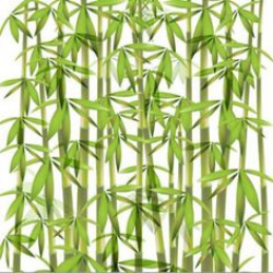 Abstract floral background with a bamboo | Floral, Stenciling and ...
