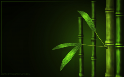 bamboo templates - Incep.imagine-ex.co