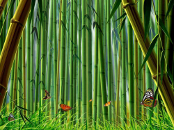 Bamboo bamboo forest clipart forest clipart ...