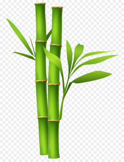 Bamboo Clip art - zen png download - 850*1171 - Free Transparent ...